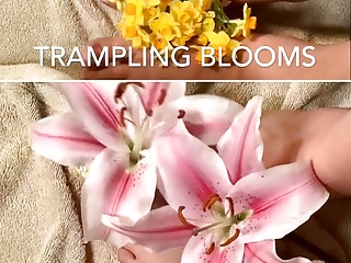 ONLY feet and flowers, trampling! Foot fetish. Littlekiwi brings awesome mature homemade content, every time