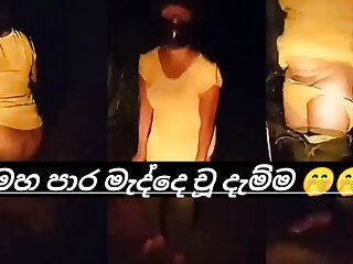 Sri lankan aunty outdoor pissing video 