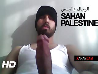 The Perfect Arab Gay Cock The Perfect Arab Gay Cock