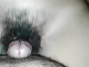 hairy pussy roll my dick