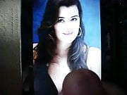 tribute to cote de pablo