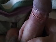 mi polla