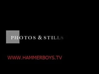 Wanna Something From Hammerboys Tv