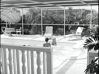 Softcore, 1969, Movie, Vintage