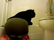 semeterezi karkat 2 peestuck (nudestuck)