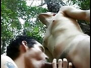 Gay stud gets hiss ass hole banged hard in the woods