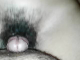 Dicks, Hairy Pussy, Hairy Amateurs, Amateur