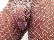 Cock caught in a fishnet. 