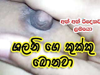 Sinhala Couple, Fucked, Sri Lankan School, Indian Sex
