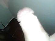 moviendo polla pensando 