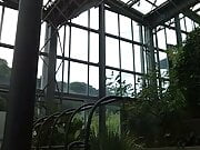 public greenhouse