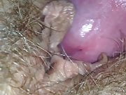 My cock on wife's hairy pussy 