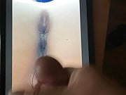 Cumtribute