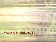 Big dicks from Hammerboys TV