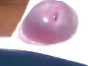 Purple cock uncut