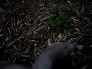 Her feet in the garden