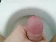 newbie