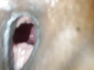 Rimjob, Eating Pussy, Facial, Squirted