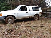 Stuck in mud by the fence