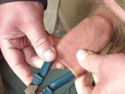 Foreskin with large blue pliers 