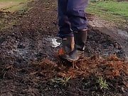 Farmer Playing With Manure