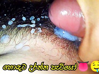 Pussy, Big Cock, Sinhala Couple, Hot Sex