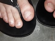 MY OILY TOES