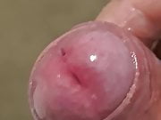 Wanna taste my PRECUM