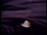 arab,audition,big cock