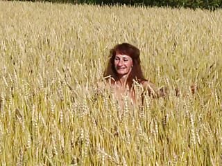 In the field of golden wheat