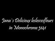Delicieux leslescesfleurs in Monochrome 3141