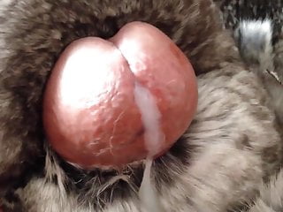 fur cum