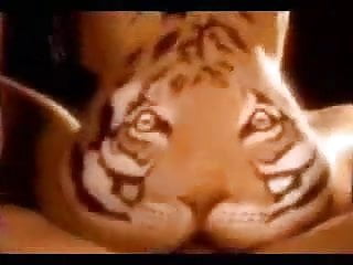 feed the tiger