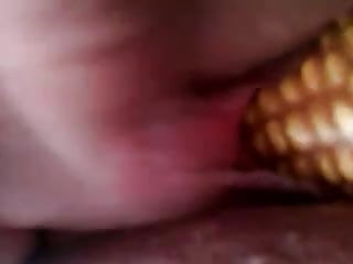 uni corn