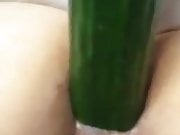 Corn and cucumber