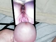 Cocktribute hot pussy 